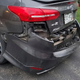 Smell Of Doughnuts Entices Bear To Rip Ford Focus Apart <em></em><em></em>